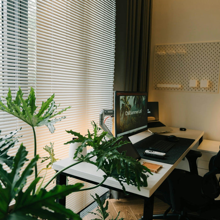 Modern home office with plants and window blinds