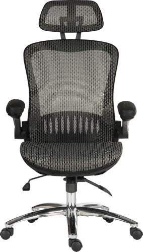 Teknik Harmony Executive Mesh High Backrest Chair with adjustable armrests and chrome base. - image 2