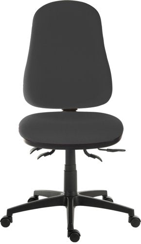 Teknik Ergo Comfort Spectrum Home Executive Operator Chair Certified for 24hr use Carbon