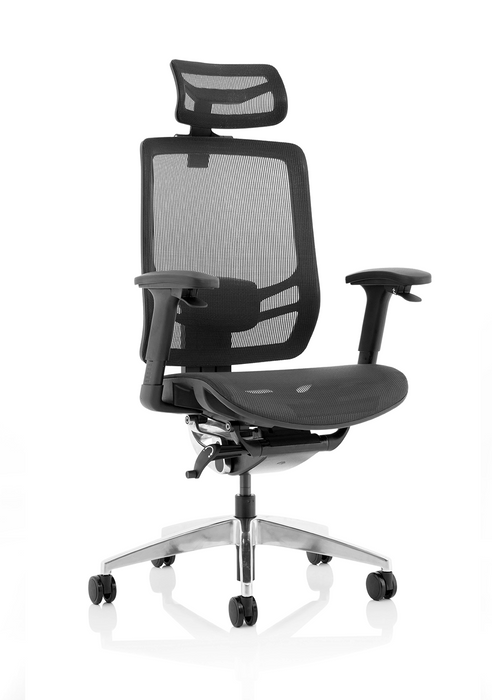 Ergo Click High Back Ergonomic Posture Office Chair with Arms